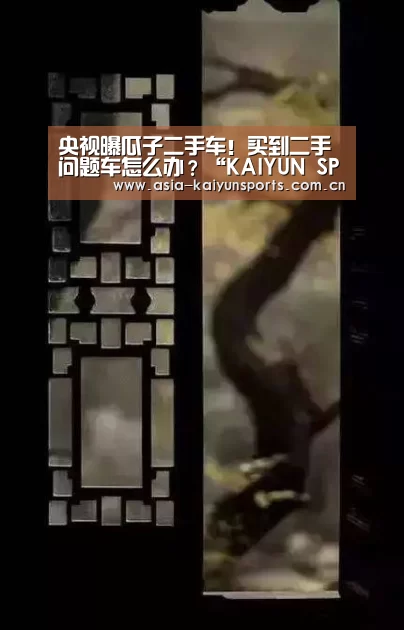 央视曝瓜子二手车!买到二手问题车怎么办?“KAIYUN SPORTS”(图1) 开云体育高清直播