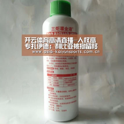 开云体育高清直播-人权高专扎伊德:利比亚被拘留移民所遭受的苦难是对人类良知的践踏(图1) 开云体育高清直播