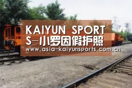 KAIYUN SPORTS-小罗因假护照被捕 持有假护照要负哪些法律责任?(图2) 开云官网首页