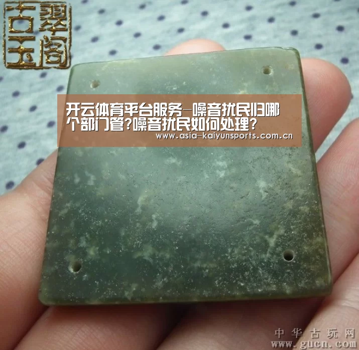 开云体育平台服务-噪音扰民归哪个部门管?噪音扰民如何处理?(图4) 开云体育平台服务