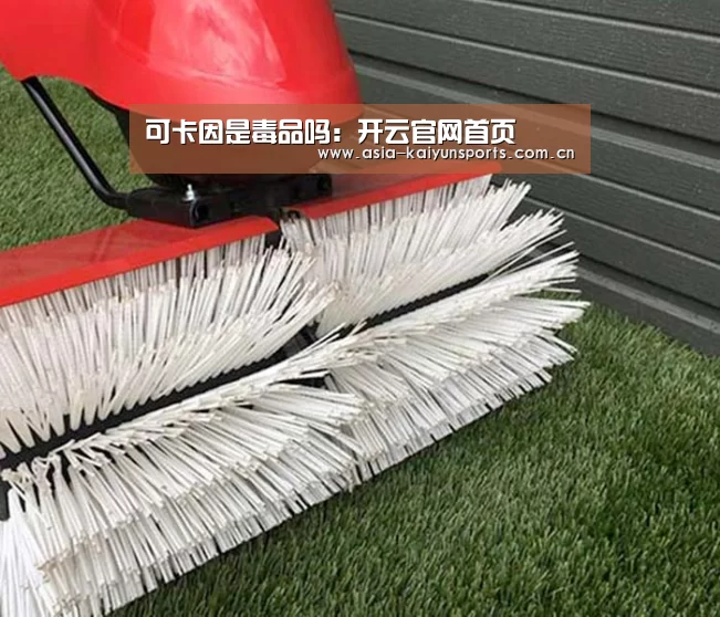 可卡因是毒品吗:开云官网首页(图2) 开云官网首页