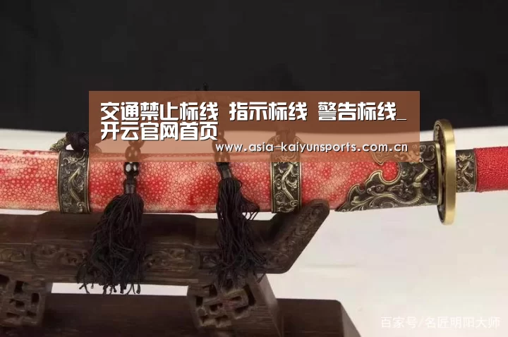 交通禁止标线 指示标线 警告标线_开云官网首页(图2) 开云体育高清直播