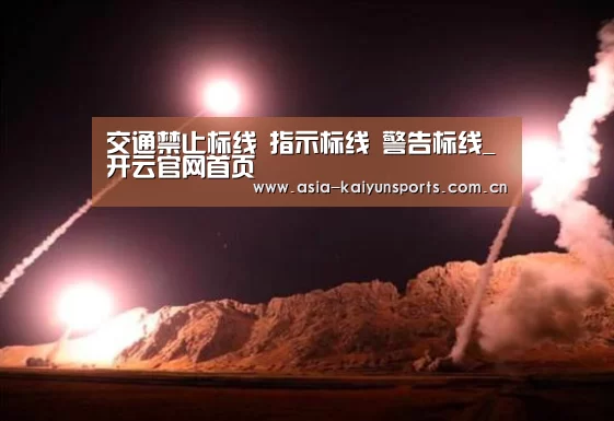交通禁止标线 指示标线 警告标线_开云官网首页(图1) 开云官网首页