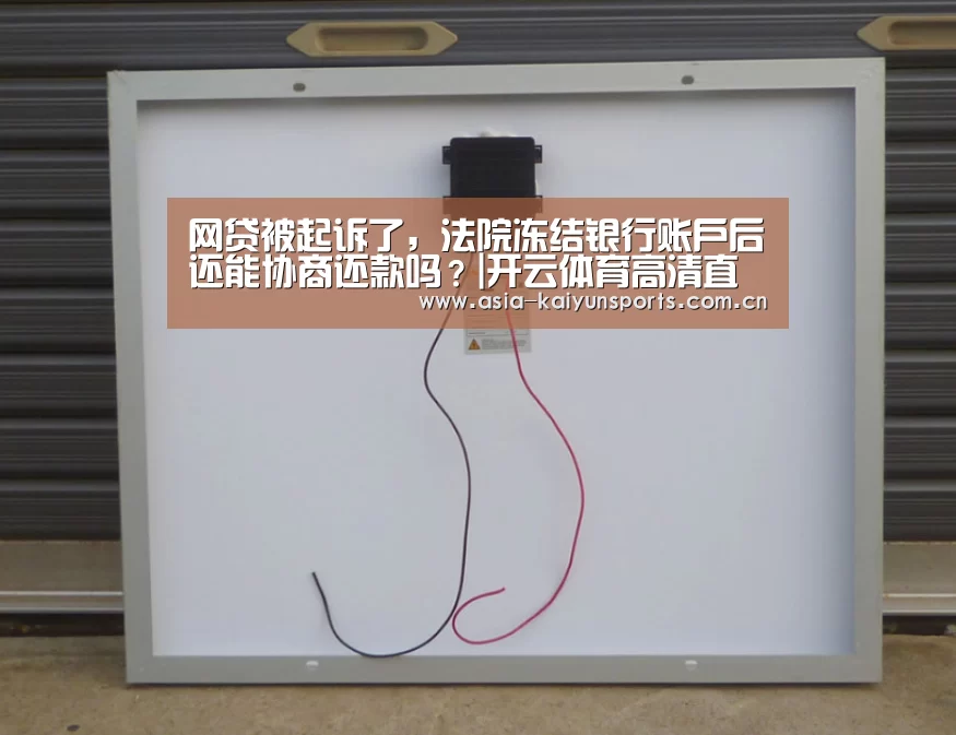 网贷被起诉了,法院冻结银行账户后还能协商还款吗?|开云体育高清直播(图3) 开云体育高清直播